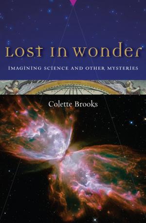 Cover of the book Lost in Wonder by Peter Leonard