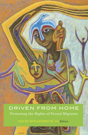Cover of the book Driven from Home by David J. Danelo