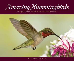 Cover of the book Amazing Hummingbirds by Ryan Jacobson, Deb Mercier