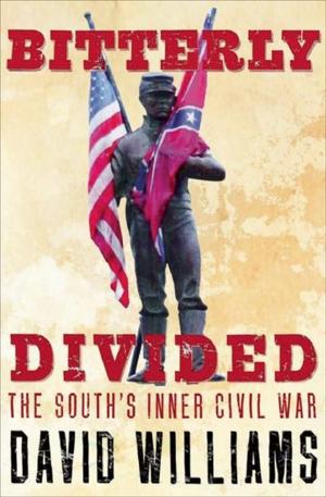 Book cover of Bitterly Divided