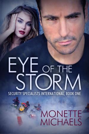 Cover of the book Eye of the Storm by Susan V. Vaughn