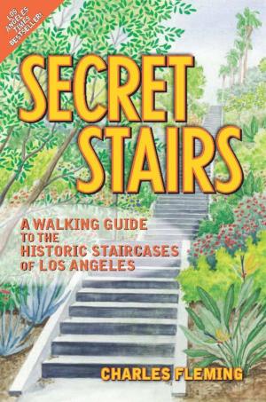 Cover of the book Secret Stairs by Bob Pletka
