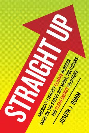 Cover of the book Straight Up by Donald A. Falk