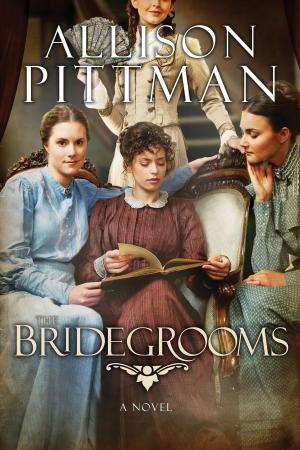 Cover of the book The Bridegrooms by Dave Ferguson, Jon Ferguson