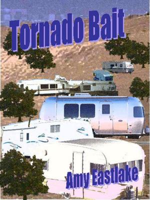 Cover of the book Tornado Bait: A Texas Trailer Park Mystery by Teel James Glenn