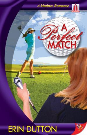 Cover of the book A Perfect Match by Robyn Nyx