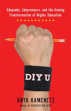 Cover of the book DIY U by Paul Gipe