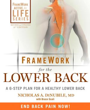 Book cover of FrameWork for the Lower Back