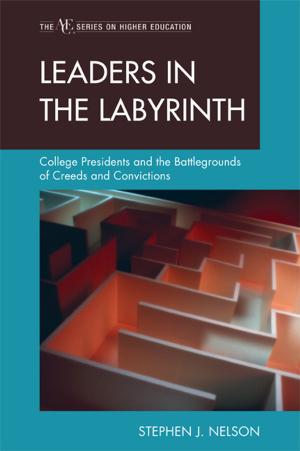 Cover of the book Leaders in the Labyrinth by R.M. O’Toole B.A., M.C., M.S.A., C.I.E.A.