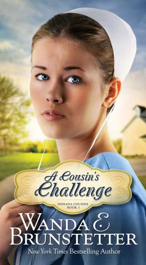 Cover of the book A Cousin's Challenge by Wanda E. Brunstetter
