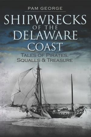 Cover of the book Shipwrecks of the Delaware Coast by James Lawton Haney, McDowell County Historic Preservation Commission