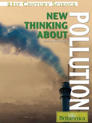 Cover of the book New Thinking About Pollution by Erik Gregersen