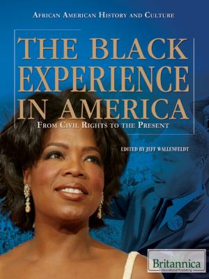 Cover of the book The Black Experience in America by William White and Nicholas Croce