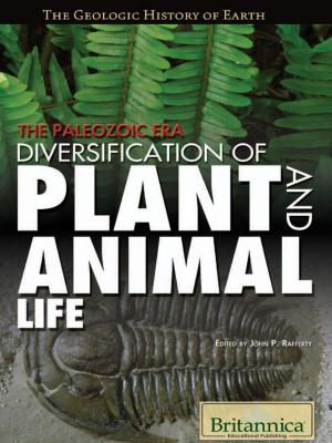 Cover of the book The Paleozoic Era by Tracy Hamilton