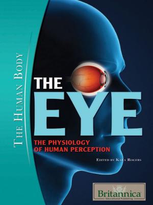 Book cover of The Eye: The Physiology of Human Perception