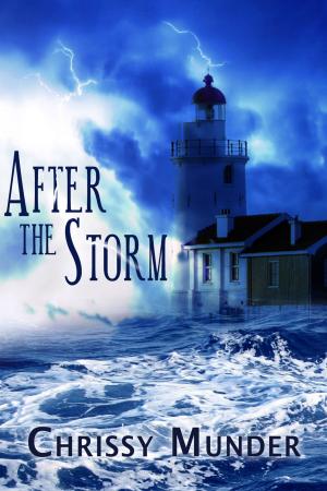 Cover of the book After the Storm by Andrew Demcak