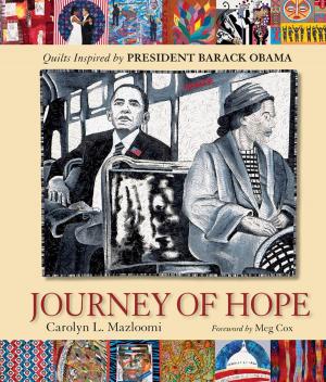 Cover of the book Journey of Hope by Jeffrey Falla, Aurora Johnson