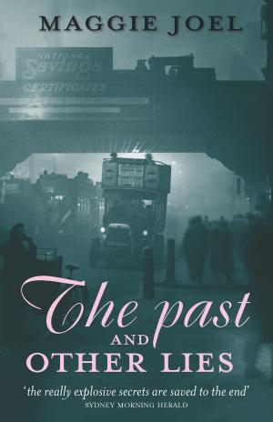 Book cover of The Past and Other Lies