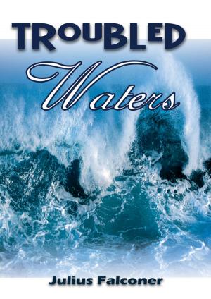Cover of the book Troubled Waters by D. C. Lassiter