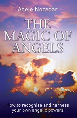 Book cover of Magic of Angels