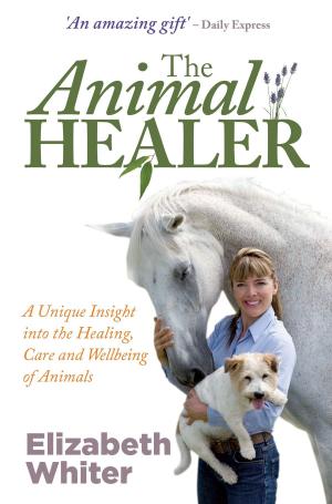 Cover of the book The Animal Healer by David R. Hamilton, Ph.D.
