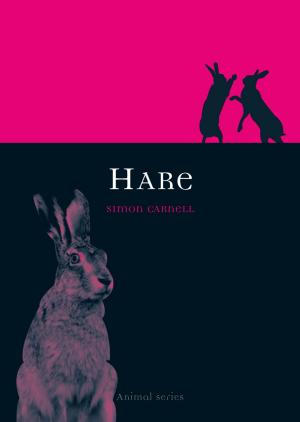 Cover of the book Hare by Kasia Boddy