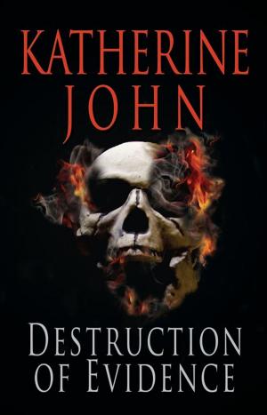 Book cover of Destruction Of Evidence