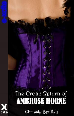 Cover of the book The Erotic Return of Ambrose Horne by Erin Richards