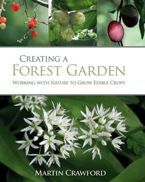 Cover of the book Creating a Forest Garden by Daphne Lambert, Tanyia Maxted-Frost