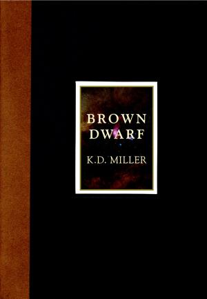 Cover of the book Brown Dwarf by Alexander MacLeod