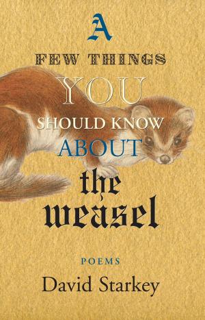 Cover of the book A Few Things You Should Know About the Weasel by Lucie Wilk