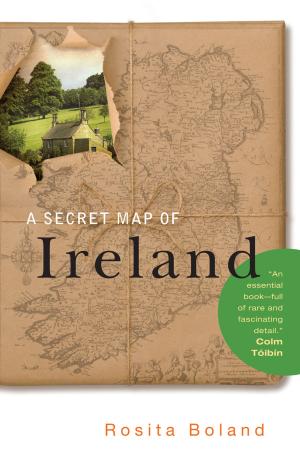 Cover of the book A Secret Map of Ireland by Patricia Scanlan
