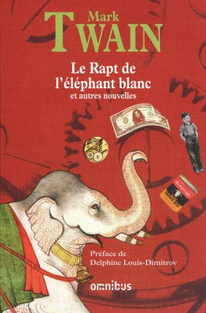Book cover of Le Rapt de l'éléphant blanc