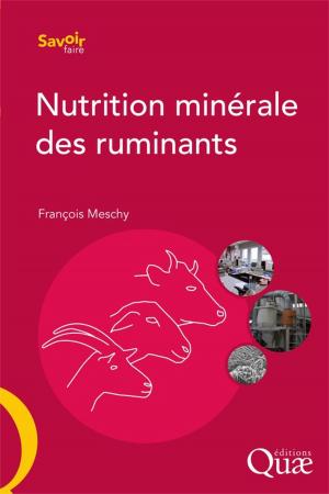 Cover of the book Nutrition minérale des ruminants by Martine Berlan-Darqué, Raphaël Larrère, Bernadette Lizet