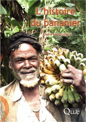 Cover of the book L'histoire du bananier by Jacques Bony, Dominique Pomiès