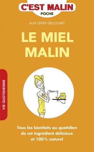 Cover of the book Le miel, c'est malin by Jean-Michel Gurret