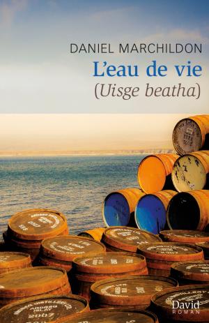 Cover of the book L'eau de vie by Pierre-Luc Bélanger