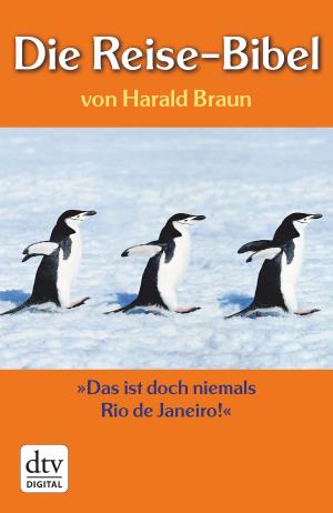 Book cover of Die Reise-Bibel