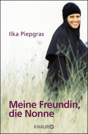 Cover of the book Meine Freundin, die Nonne by Jung Chang