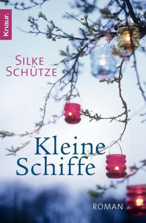 Cover of the book Kleine Schiffe by Markus Heitz
