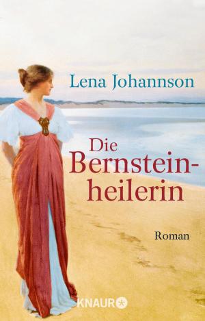 Cover of the book Die Bernsteinheilerin by Martin Wehrle