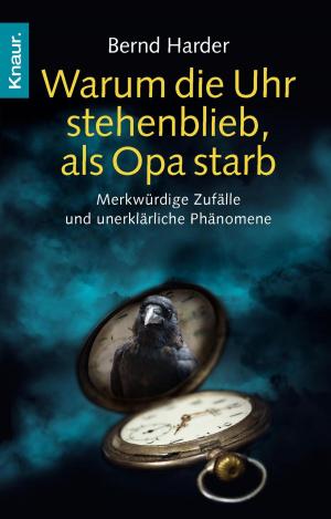 Cover of the book Warum die Uhr stehenblieb, als Opa starb by Marita Spang