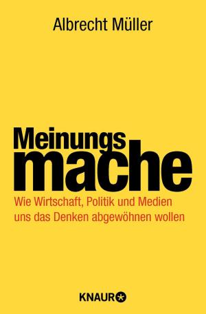 Cover of Meinungsmache