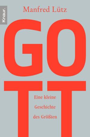 Cover of the book Gott by Martin Dreyer