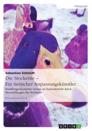 Cover of the book Die Stockente - ein tierischer Anpassungskünstler by Cora Ginzel