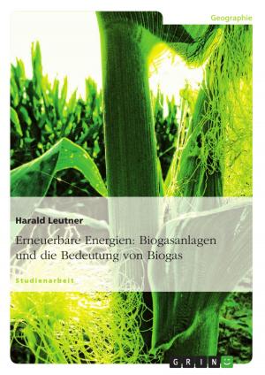 Cover of the book Erneuerbare Energien: Biogasanlagen und die Bedeutung von Biogas by Thomas Hoehl