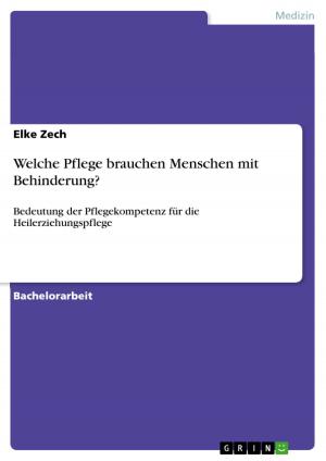 Cover of the book Welche Pflege brauchen Menschen mit Behinderung? by Daniel M. Rother