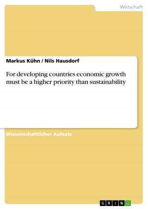 Cover of the book For developing countries economic growth must be a higher priority than sustainability by Dilek Pehlivan