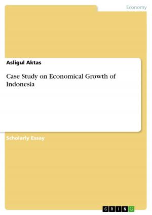 Cover of the book Case Study on Economical Growth of Indonesia by Matthias Schulze