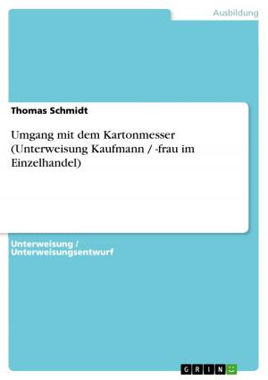 Cover of the book Umgang mit dem Kartonmesser (Unterweisung Kaufmann / -frau im Einzelhandel) by Anke Jendahl